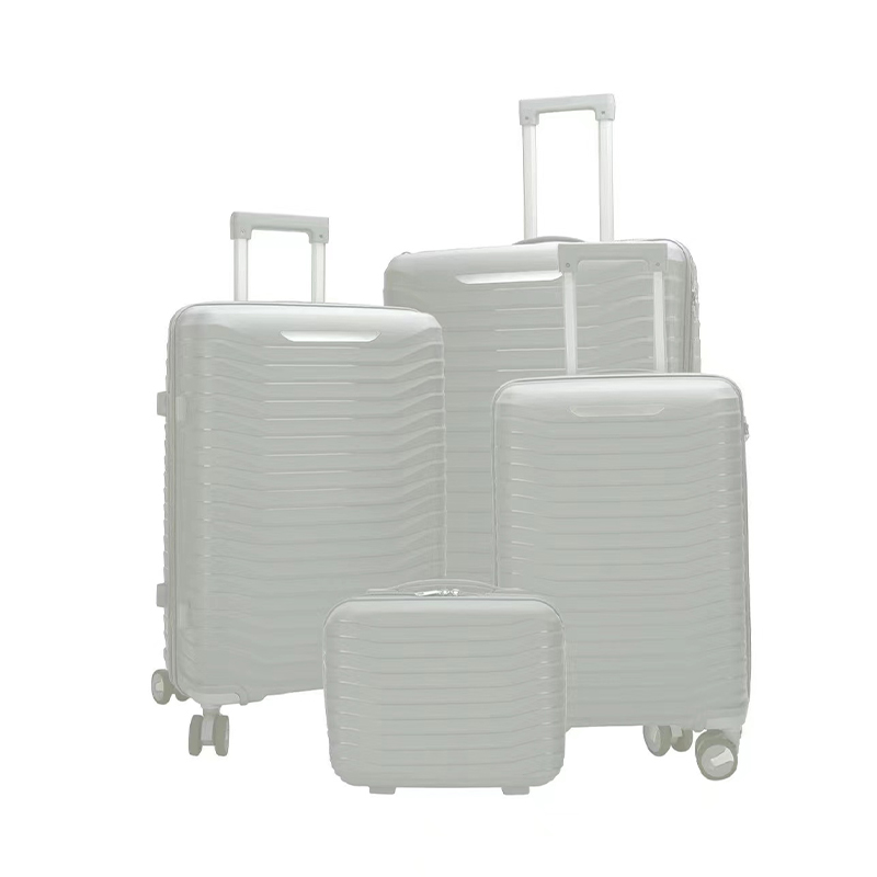 travel storage bag luggage trendy PP luggage set